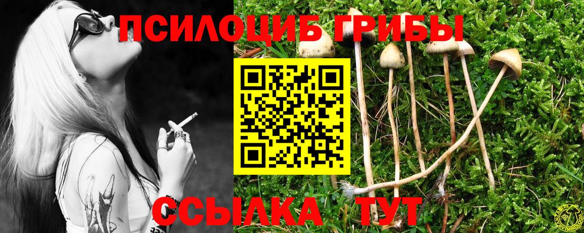 Кстово  Галлюциногенные грибы прущие грибы  Вход с VPN 