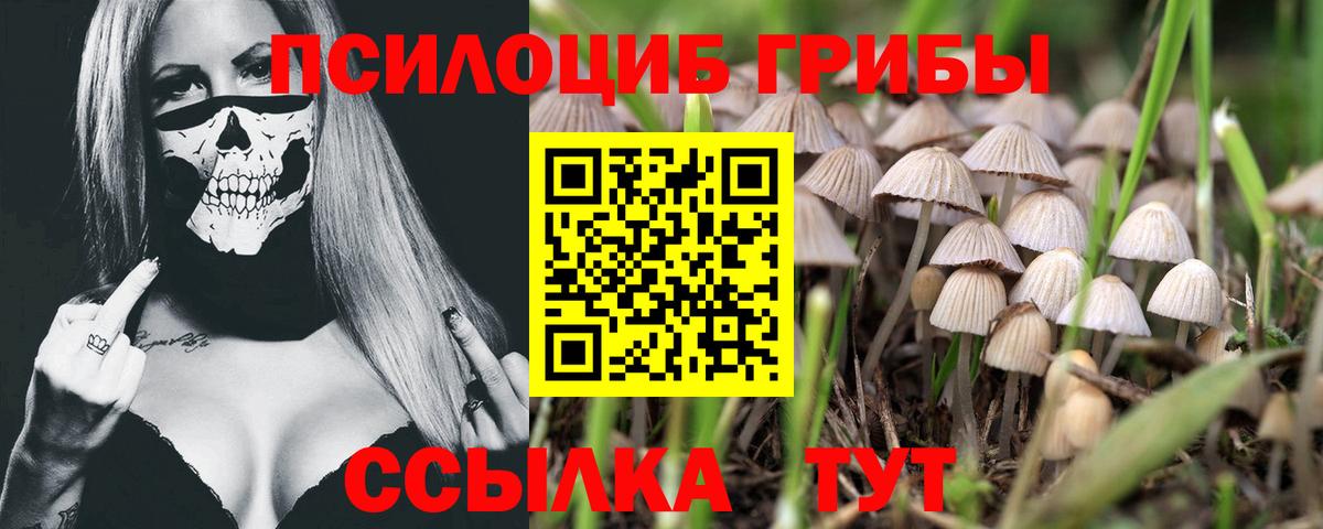 Галлюциногенные грибы ЛСД Кстово