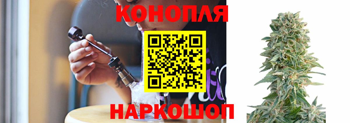 Конопля сатива Кстово